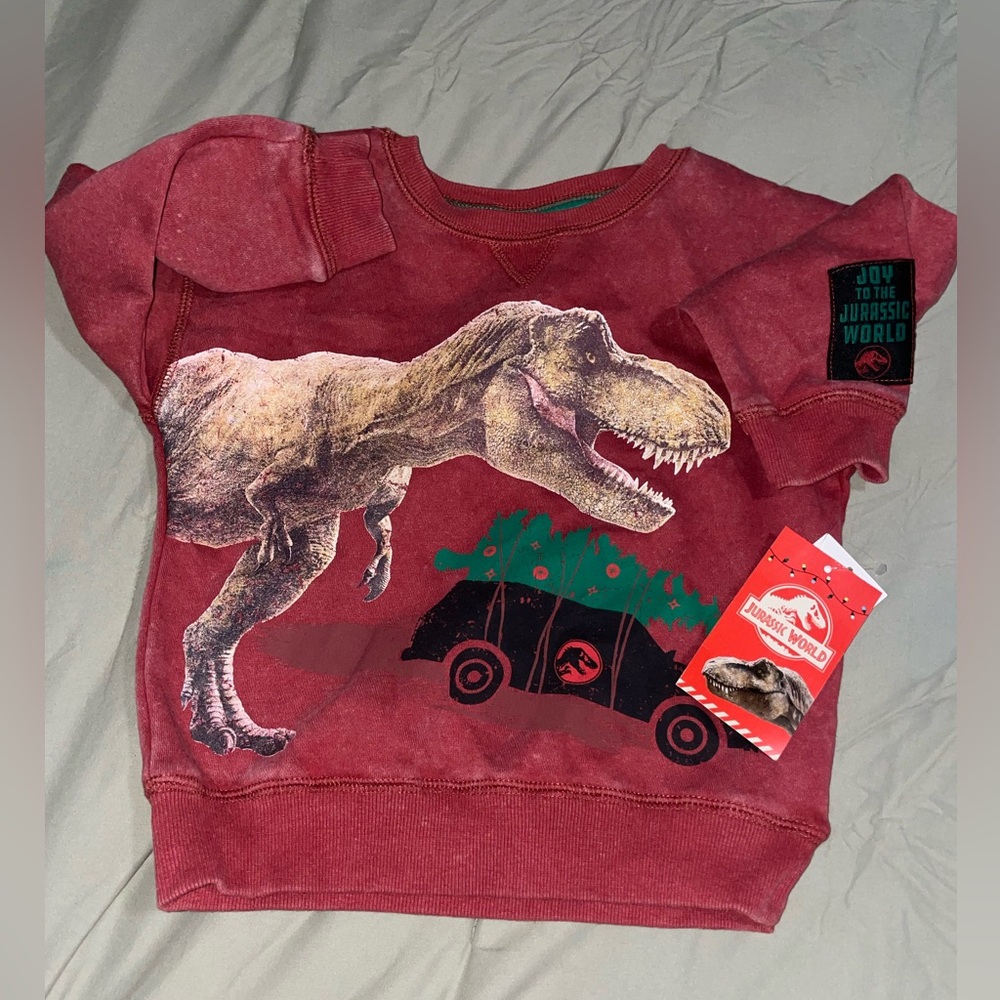 Jurassic park sweatshirt